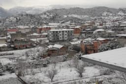 Gözlemeci Büfe