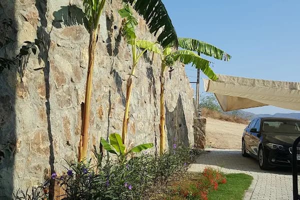 Ceyhun Grup Evleri 1 - Tatil sitesi - Muğla Akçaalan Mahallesi