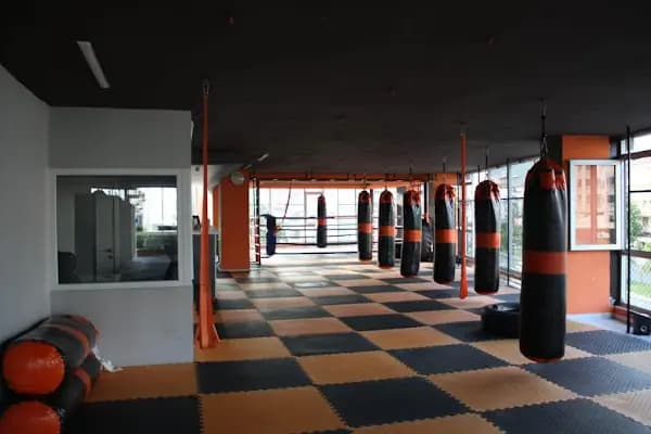 Alanya Muay Thai Academy Gym İnternational - Spor Kulübü - Antalya Alanya