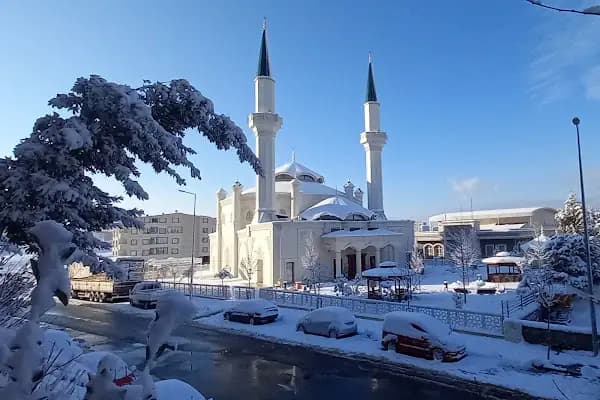 Hacı Perihan Kayar Camii - Cami - Kocaeli Gölcük