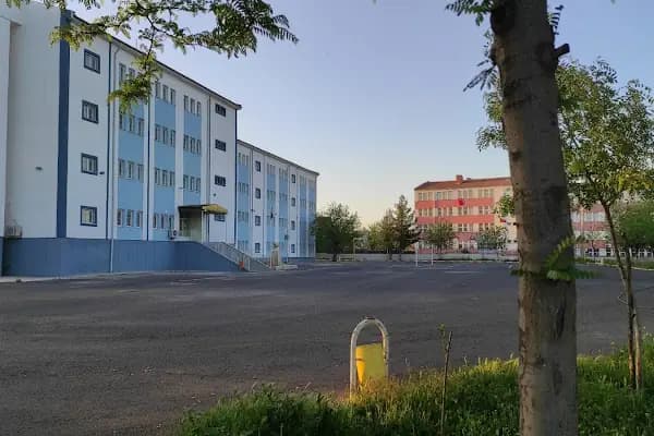 Nevzat Ayaz Anadolu Lisesi - Okul - Diyarbakır Yenişehir