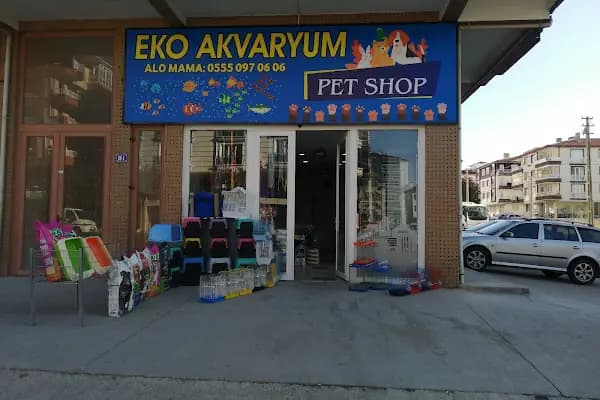EKO AKVARYUM PETSHOP - Evcil hayvan mağazası - Ankara Altındağ