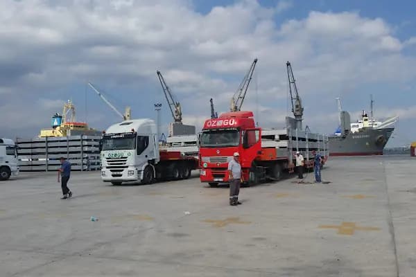 Özgü Agir Nakliye Proje Tasimsciligi - Ulaşım Hizmeti - İzmir Bornova