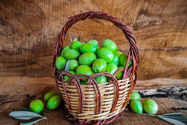 Ham Zeytin - Doğal Gıda Satış Yeri - Bursa Nilüfer