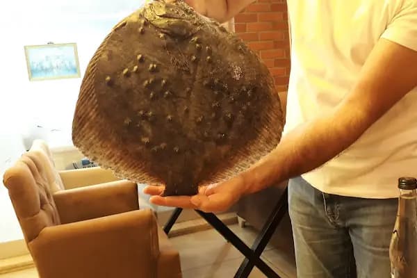 Sevgi Yolu Unlu Mamüller - Pastane - Sakarya Erenler