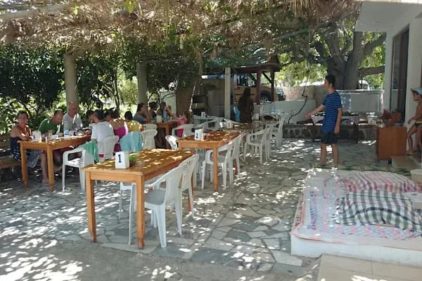 Sevgi Bacı Gözleme Evi - Restoran - Muğla Milas