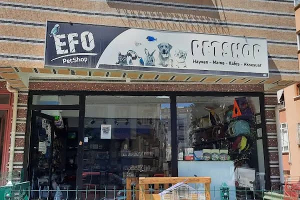 EFO PETSHOP - Evcil hayvan mağazası - Ankara Etimesgut