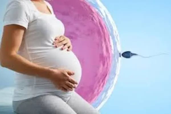 Kızlık Zarı Dikimi, Labioplasti, Genital Estetik Ankara Fiyatları Miyom Tedavisi, Op. Dr. Esra Çabuk Cömert - Doktor - Ankara Altındağ
