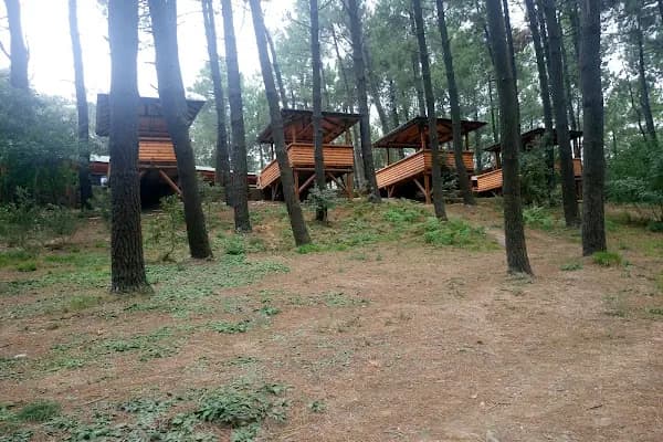 Tayakadın Mesire Yeri - Park - İstanbul Esenyurt