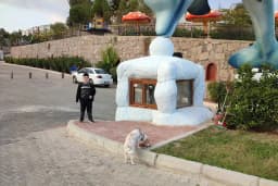 Kozalak Kültür Kitap&amp;Kafe