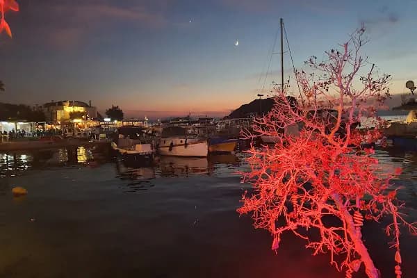 Akvaryum Restaurant - Restoran - Muğla Bodrum
