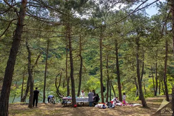 Bentler Tabiat Parkı - Milli Park - İstanbul Eyüpsultan