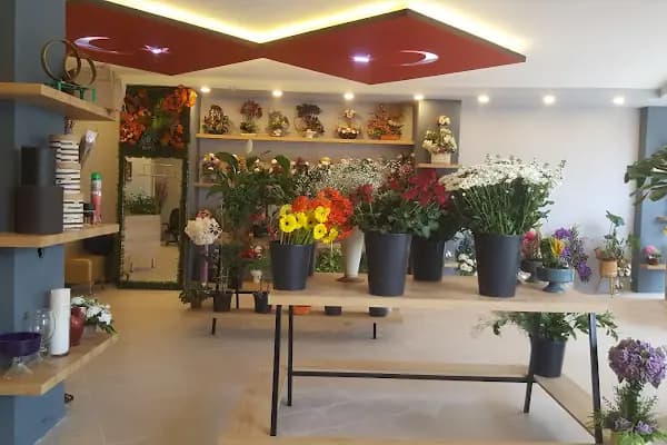 Uluslararası Dilek Çiçekçilik Ve Organizasyon - Çiçekçi - Denizli Acıpayam