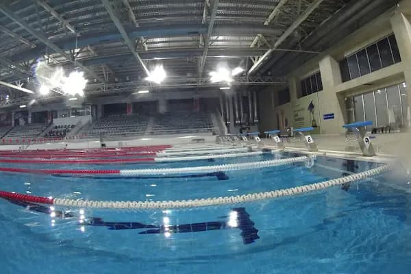 Haliliye Olimpik Yüzme Havuzu - Yüzme Havuzu - Şanlıurfa Eyyübiye
