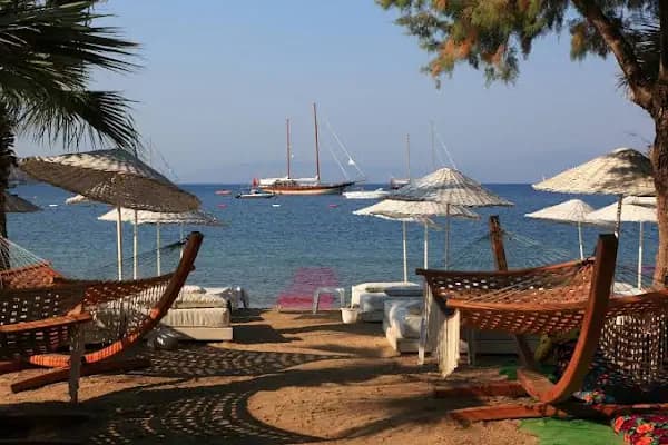 Okaliptus - Restoran - Muğla Bodrum