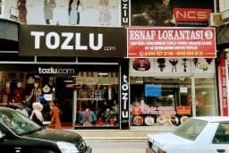 Tozlu