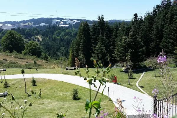 Uludağ sarıalan - Turistik Yer - Bursa Osmangazi