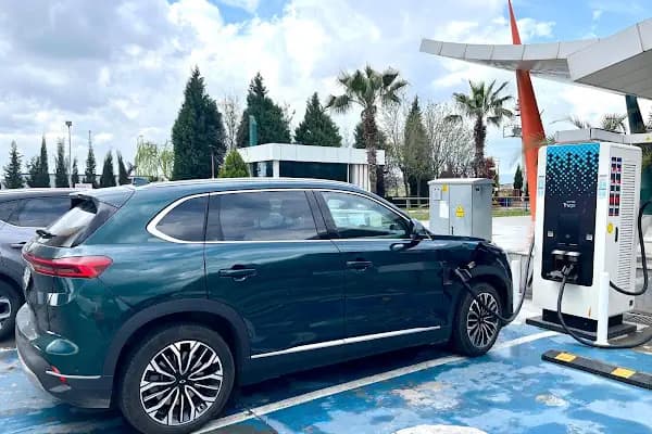 Trugo Şarj İstasyonu - Elektrikli Araç Şarj İstasyonu - Manisa Demirci
