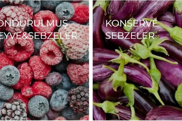 Frigo-pak Gıda Maddeleri Sanayi ve Ticaret A.S. - Üretici - Bursa İnegöl
