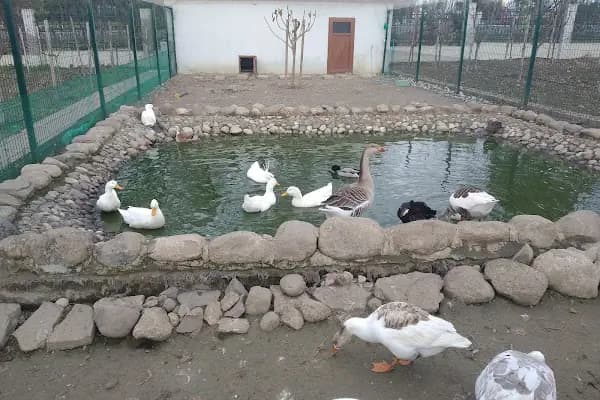 Millet Bahçesi - Bahçe - İstanbul Beykoz