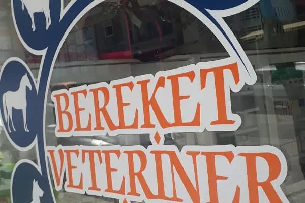 Bereket Veteriner Muayenehanesi - Acil Durum Veterinerlik Hizmeti - Denizli Pamukkale