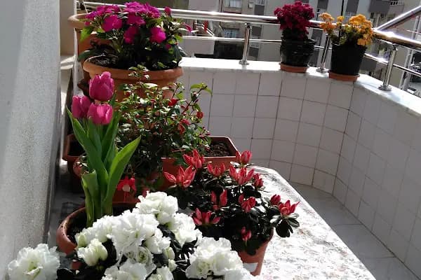 Cadde Kitchen & Cocktail - Restoran - Adana Karaisalı