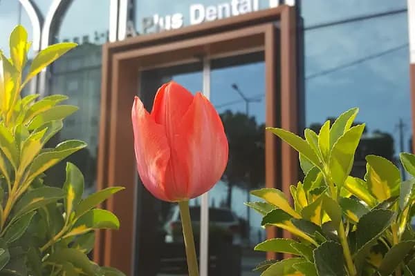 A+ Ağız ve Diş Sağlığı Polikliniği - Diş Hekimi - Kahramanmaraş Dulkadiroğlu