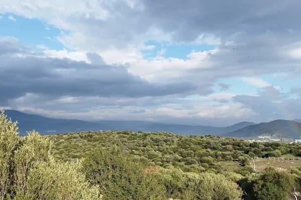 Emiralem Yeni Yayla Mezarlığı - Mezarlık - İzmir Urla