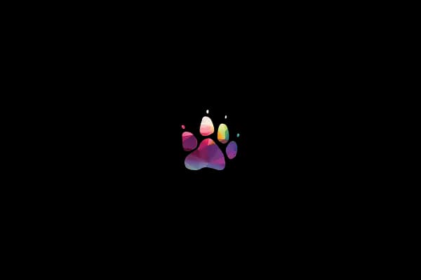 Hisar Pet Care Veterinerlik - Veteriner - İstanbul Sarıyer