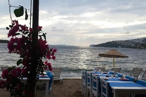 Pitos Cafe Bar - Bar - Muğla Bodrum