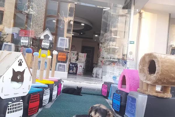 Pıtırcık pet shop - Evcil Hayvan Malzemeleri Mağazası - Antalya Konyaaltı