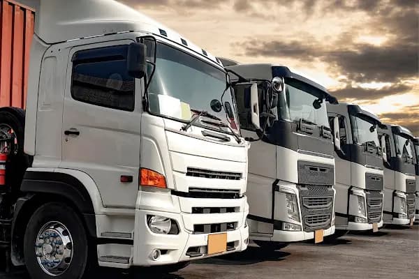 ALS CARGO - ANTALYA LOGISTIC SERVICES - Kargo Şirketi - İstanbul Esenyurt