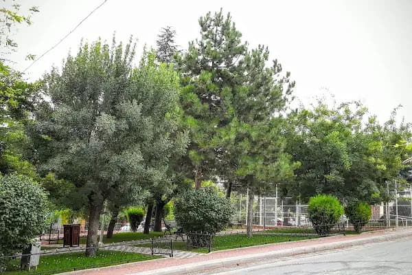 Çimentepe Parkı - Park - Eskişehir Seyitgazi