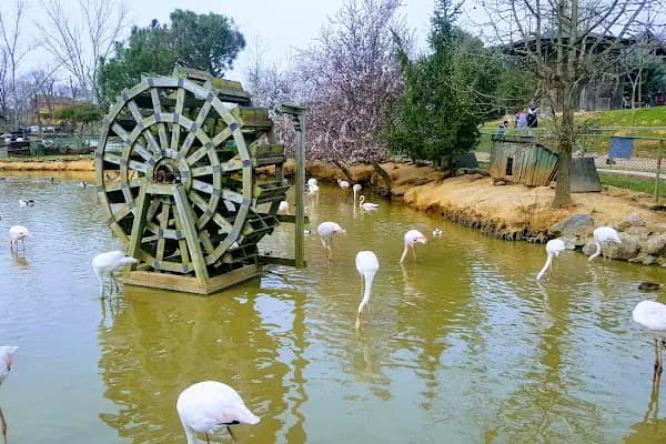 Polonezköy Tabiat Parkı - Park - İstanbul Beykoz