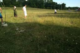 Doğa Piknik Alanı