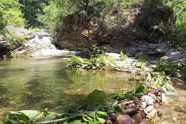 Çifte Kaynaklar Piknik ve Kamp Alanı - Piknik Alanı - Kırklareli Demirköy