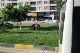 Keskin Oto Galeri