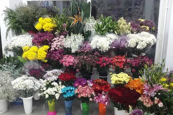 beypazarı çiçekçi orhun - Çiçekçi - Ankara Beypazarı