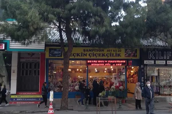 Seçkin Çiçekçilik Ltd. Şti. - Çiçekçi - İstanbul Bağcılar