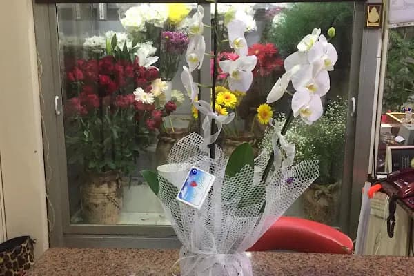 Gonca Çiçekçilik - Çiçekçi - İzmir Urla
