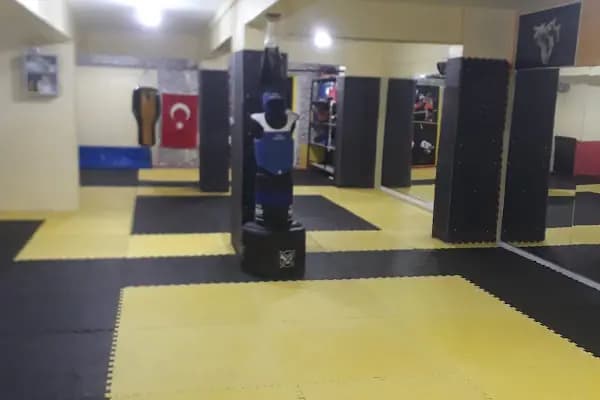 Yeni Yetenekler Spor Kulübü - Tekvando Okulu - Diyarbakır Kayapınar