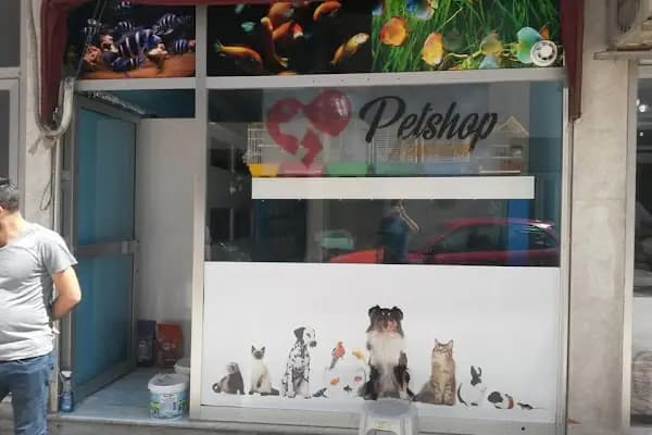 Pet Shop Marketim - Kocaeli ve İzmit Akvaryum Mağazası - Evcil hayvan mağazası - Kocaeli İzmit