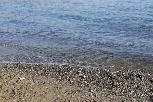 Atarlı Beach - Kumsal - İstanbul Bahçelievler