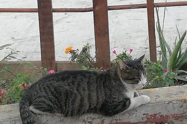 FINDIKLI MERKEZ TAKSİ - Taksi Durağı - İstanbul Bayrampaşa