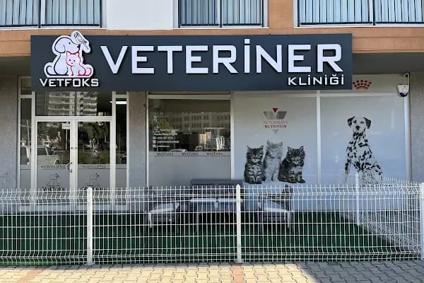Vetfoks Veteriner Kliniği - Veteriner - Mersin Yenişehir