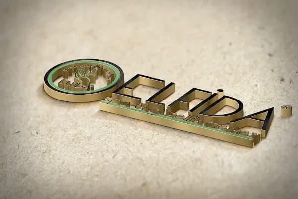 Elfida Masaj Sauna ve Spa Salonu - Spa ve Sağlık Kulübü - Mersin Yenişehir