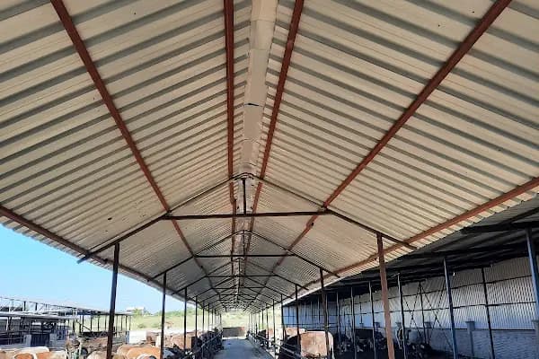 Alptekin Besi Çifliği - Çiftlik Hayvanı Satıcısı - Konya Karatay