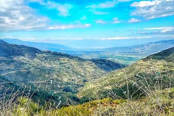Bozdogan Aydın - Üretici - Aydın Efeler