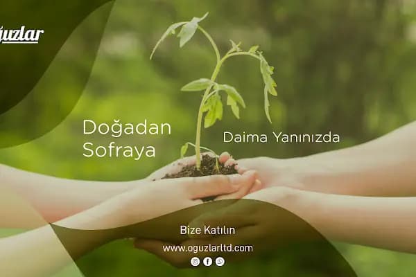 Oğuzlar Sebze Meyve - Sebze ve Meyve Toptancısı - Kocaeli Körfez