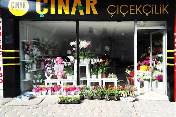 ÇINAR ÇİÇEKÇİLİK - Çiçekçi - Sivas Sivas Belediyesi